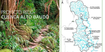 Proyecto de créditos de carbono en Alto Baudó