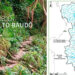 Proyecto de créditos de carbono en Alto Baudó