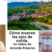 Arnoldo Palacios. Chocó.
