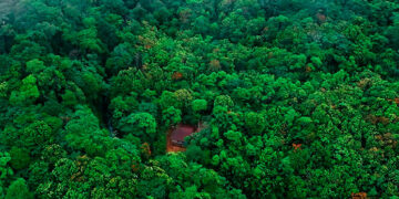 Chocó: Banco de Hábitat Asocasan para la conservación