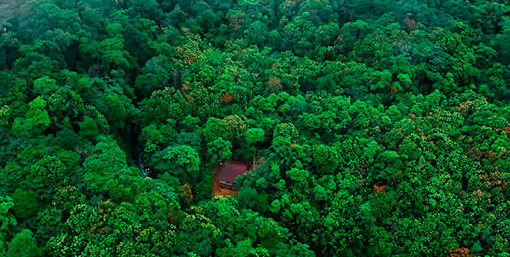 Chocó: Banco de Hábitat Asocasan para la conservación