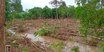 Bahía Solano: reclaman recursos para productores agropecuarios afectados por la ola invernal