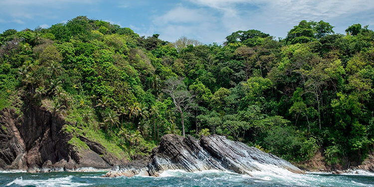Buscan ampliar el Santuario de Fauna de Acandí, Playón y Playona