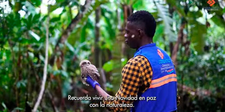 Codechocó: ¡Digamos NO a la pólvora y SÍ a una navidad en paz con la naturaleza!