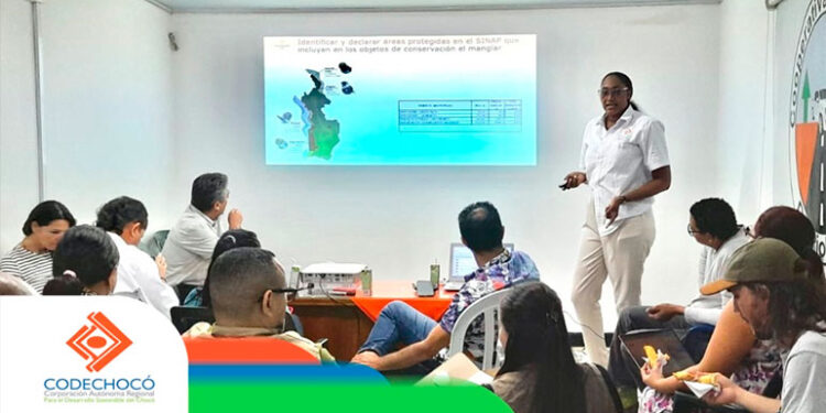 Chocó en el Taller Nacional de Manglares 2024