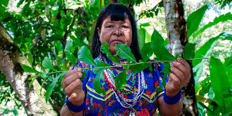 Chocó es más que un territorio de víctimas
