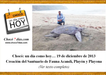 Chocó: un día como hoy… 19 de diciembre de 2013. Creación del Santuario de Fauna Acandí, Playón y Playona.