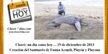 Chocó: un día como hoy… 19 de diciembre de 2013. Creación del Santuario de Fauna Acandí, Playón y Playona.
