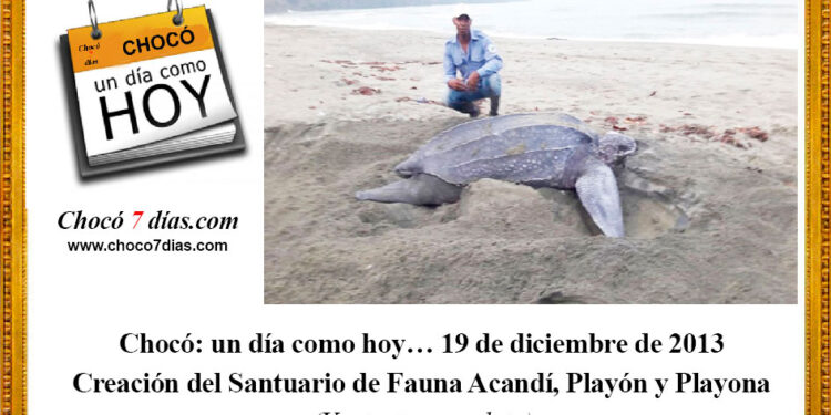Chocó: un día como hoy… 19 de diciembre de 2013. Creación del Santuario de Fauna Acandí, Playón y Playona.