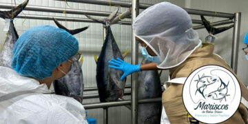 “Mariscos del Bahía Solano”, primera empresa certificada del Chocó para exportar productos de la pesca