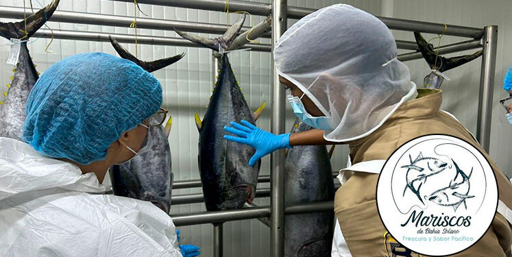 “Mariscos del Bahía Solano”, primera empresa certificada del Chocó para exportar productos de la pesca