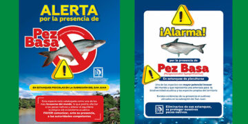 Detectan en Tadó pez asiático que amenaza especies nativas