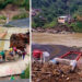 Se cayó puente colgante en construcción en zona rural de Bagadó