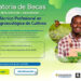 Beca Producción Agroecológica de Cultivos Istmina
