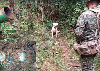 Chocó: Destruyen depósitos con explosivos del ‘Clan del Golfo’ en Riosucio y Carmen del Darién