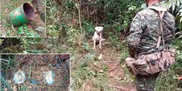 Chocó: Destruyen depósitos con explosivos del ‘Clan del Golfo’ en Riosucio y Carmen del Darién