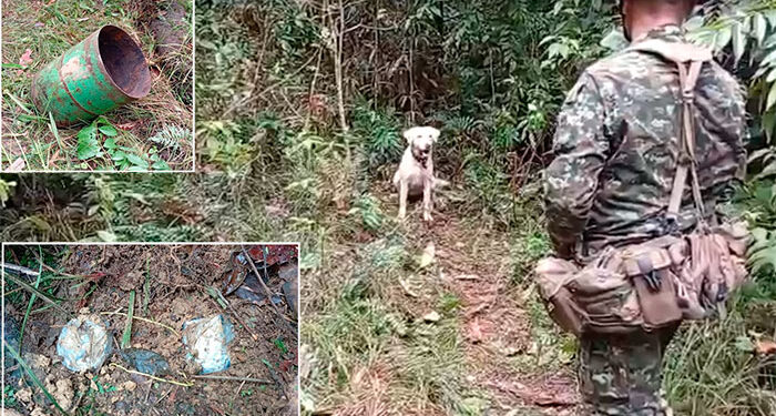 Chocó: Destruyen depósitos con explosivos del ‘Clan del Golfo’ en Riosucio y Carmen del Darién
