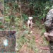 Chocó: Destruyen depósitos con explosivos del ‘Clan del Golfo’ en Riosucio y Carmen del Darién