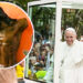 El Papa Francisco dejó una oración al Cristo mutilado de Bojayá, Chocó