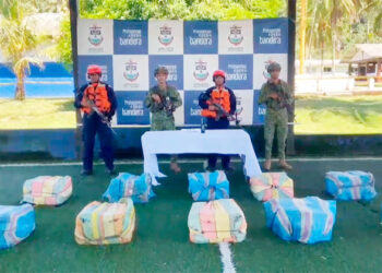 Incautan 300 kilos de coca en Punta Huina, Bahía Solano