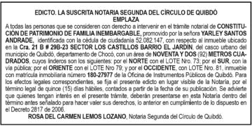 Edicto Yarley Santos Andrade