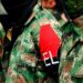 ELN anuncia otro paro armado en el Chocó