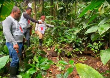 Chocó: Recuperan en el Baudó los cuerpos de dos personas desaparecidas en el marco de los conflictos armados