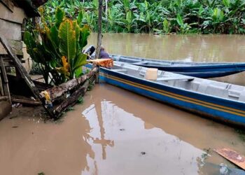 Riosucio: campesinos de Regadero, en el río Salaquí, piden auxilio ante pérdidas y abandono