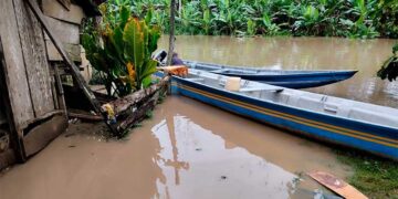Riosucio: campesinos de Regadero, en el río Salaquí, piden auxilio ante pérdidas y abandono
