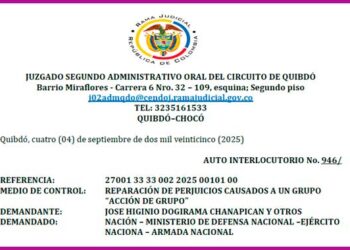 Admiten Acción de Grupo – Auto Interlocutorio 946
