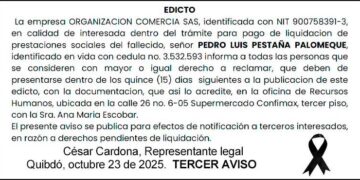 Edicto 3er. aviso Pedro Luis Pestaña Palomeque