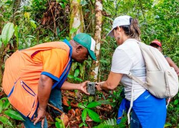 Taller y nuevas cámaras trampa para el registro de fauna silvestre en el Chocó