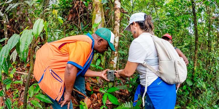 Taller y nuevas cámaras trampa para el registro de fauna silvestre en el Chocó