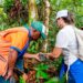 Taller y nuevas cámaras trampa para el registro de fauna silvestre en el Chocó