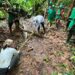 Chocó: En Río Iró, Bojayá y Condoto recuperan tres cuerpos de desaparecidos