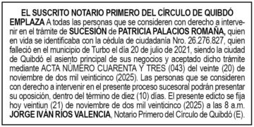 Edicto Patricia Palacios Romaña
