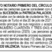 Edicto Patricia Palacios Romaña