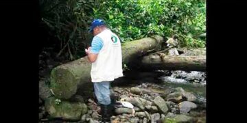 Multinacional maderera que generó daño ambiental en Bahía Solano deberá pagar dos millones de dólares