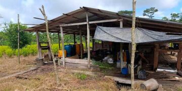 Destruyen laboratorio de coca en Carmen del Darién, Chocó