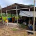 Destruyen laboratorio de coca en Carmen del Darién, Chocó
