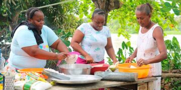 Radican demandas para restituir más de 50.000 hectáreas en Chocó y Antioquia