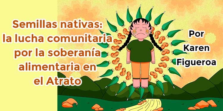 Semillas nativas: la lucha comunitaria por la soberanía alimentaria en el Atrato