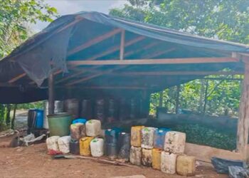 Destruyen laboratorio de coca en Carmen del Darién