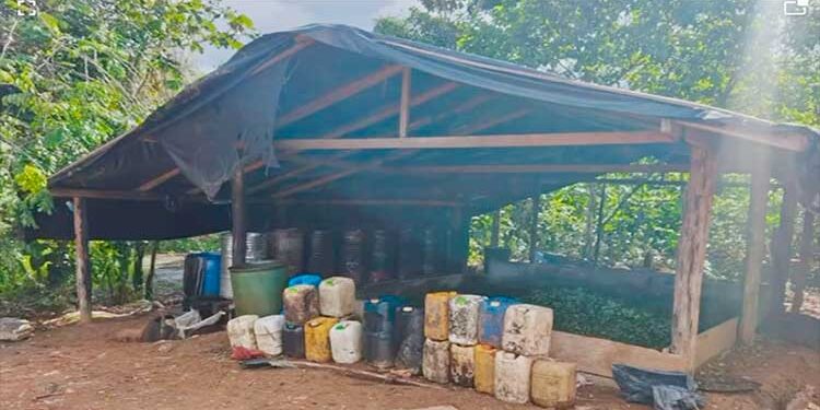 Destruyen laboratorio de coca en Carmen del Darién