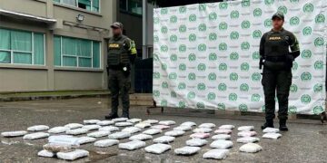 Quibdó: incautan marihuana en vehículo bajo la modalidad de encomienda