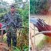 Aumenta absurda persecución del gobierno nacional a los pequeños mineros del Chocó