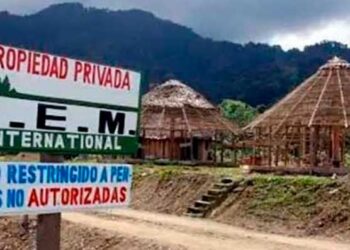 Piden información sobre compensación ambiental de multinacional maderera en Bahía Solano