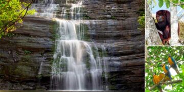 Chocó: Después de 30 años, se prepara la apertura del Parque Nacional Natural Los Katíos.