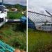 Nuquí: emergencia por avioneta que se salió de la pista