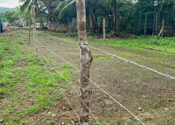 Bahía Solano: acción preventiva en defensa de vía pública